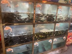 -三道苗苗鱼·美蛙黄辣丁(八里店)