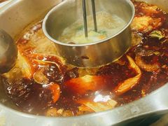 -金鼎雪山牦牛杂火锅(理县总店)