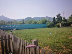 -趣玩宠物乐园寄养训犬训狗游泳池