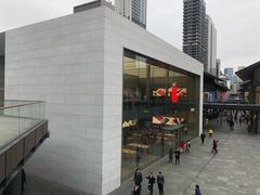 -Apple零售店(成都太古里店)