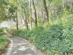 -广州市帽峰山景区