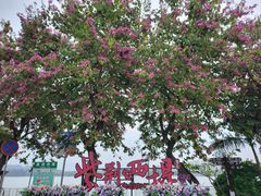 -星湖旅游景区七星岩