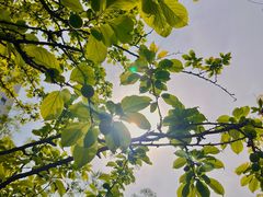 -李叔同故居纪念馆
