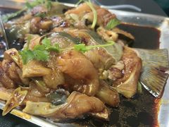 -秦巴石锅鱼(文化南路店)
