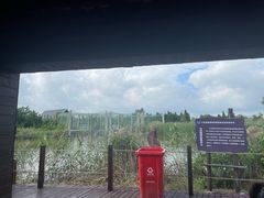 -盐城丹顶鹤湿地生态旅游区