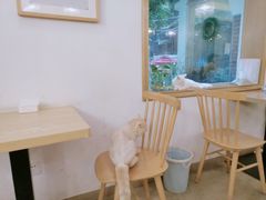 用餐区-正南齐北·老街糯米团(洪崖洞店)