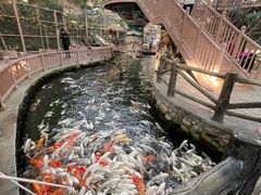 -南宫五洲植物乐园