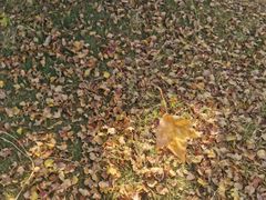 -武汉紫薇都市田园