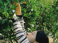 -销魂美蛙鱼头火锅(上海首店)