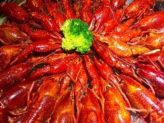 -红盔甲·小龙虾(天钥桥店)