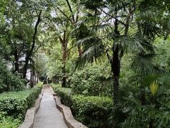 -北极阁公园