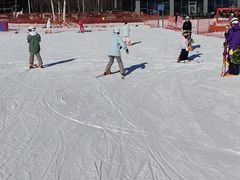 -长白山红松王滑雪场