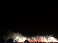 -南宁花花大世界景区