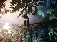 -猫猫幼稚园·撸猫·桌游·电玩