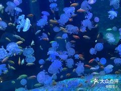 -海合安青岛极地海洋公园