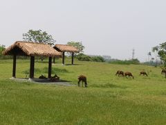 -良渚古城遗址公园