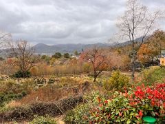 -塔川景区