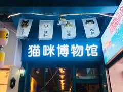 门面-猫咪博物馆(顶澳仔猫街店)