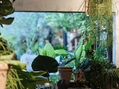 -自由生长植物工作室(深港花卉中心店)