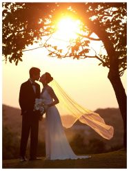 -苏菲雅婚纱摄影(西三路)