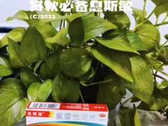 -飞翔公园(地铁站)