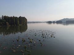 -东湖落雁景区
