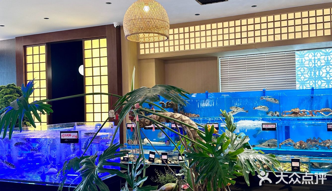 大连日料 大连东港 大连星海 大连海胆