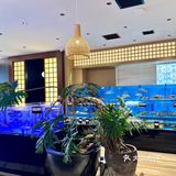 大连日料 大连东港 大连星海 大连海胆