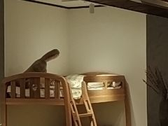 -上海月星家居(澳门路店)