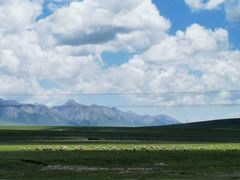 -祁连山草原