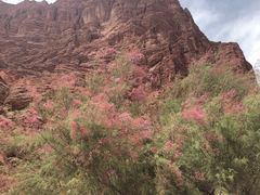 -天山神秘大峡谷