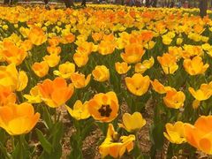 -长春公园(普阳街道)