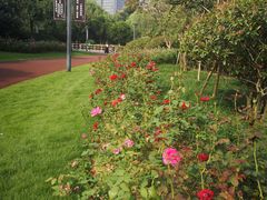 -杭州城北体育公园