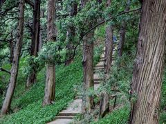 -七曲山风景区