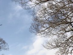 -无锡梅园公园