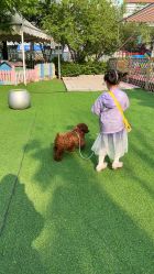 -萌宠亲子动物乐园(槐房万达店)