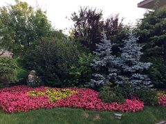 -金石唐风国际温泉会馆