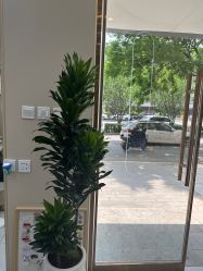 点击看大图 -闺蜜美甲