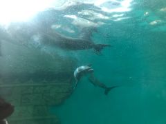 -波塞冬旅游度假区