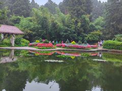 -庐山风景区花径公园