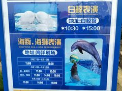 -秦皇岛乐岛海洋王国