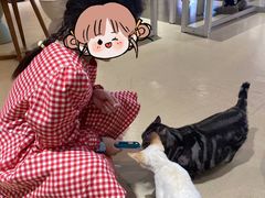 -藏猫猫咖啡主题馆(中央大道店)