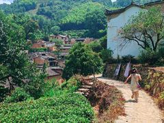 -杨家堂村