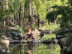 -上海共青森林公园