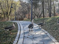 -北京宽沟会议中心