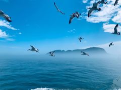 -海驴岛(荣成市)