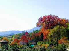 -塔川景区