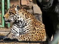 -鄂尔多斯野生动物园