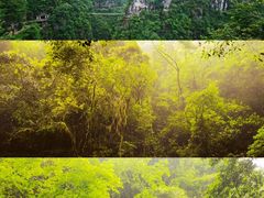 -蝶舞清江·恩施地心谷景区