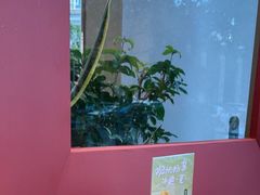 -隅乐胡椒虾·台湾菜·团建(皇岗店)